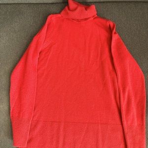 DG2 by Diane Gilman turtleneck